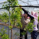 죽정경로당 이미지