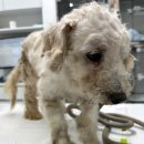 두마면 왕대리 275 이미지