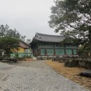 관음정사 Daum카페