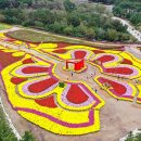 꽃길만걷자6 이미지