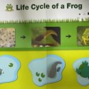 PLAY 영어동화(초등) 이미지