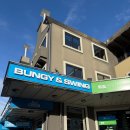 스윙 | 뉴질랜드 남섬 여행 퀸스타운 네비스 스윙 후기