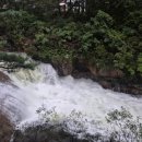 비로산장 | 동해 여행 가볼만한 곳 무릉계곡 트레킹 코스 및 매력 솔직후기