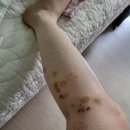 새날한의원 이미지