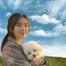 해피 이미지