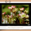 봉원축산 이미지