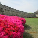 화서문로타리 이미지