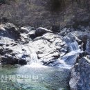 울산일보 이미지