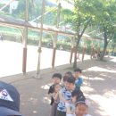 언동초등학교(병설) 이미지