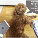 광명든든약국 이미지