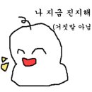 제물포애견 이미지