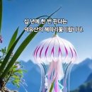 제법