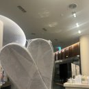 파인탁구 | 정선 5일장 - 숙소(파인포레스트 정선, 파크로쉬 정선...키친, 수영장, 자쿠지, 탁구장, 배드민턴 이용후기
