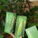 룰루베이프 이미지