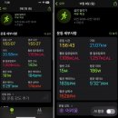 은행나무 성원자원 | 251109아산은행나무마라톤 하프후기 (부제:겸손해지는 하루였다)