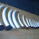 상아무역 이미지