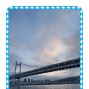 프라하&타로