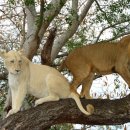 만남파크 이미지