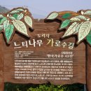 냉산친환경체험농장 이미지