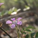 광장29호 이미지