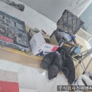 멕시카나구리 이미지