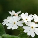 봉양농장 이미지