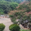 충경사 이미지