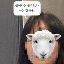 (주)우루루산본점 | 인생 첫 야근과 혼자 운전 ^.^