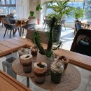 아름다운피부 | 🌸 따뜻한 손길, 아름다운 나눔: 천안 돌봄주간활동센터 봉사 후기 (충남피부미용) 🌸