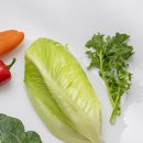 서울내과의원 이미지