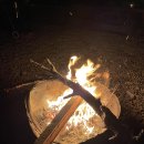 신안아구찜 이미지