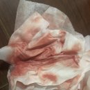 도그빌동물병원 | 놀랐지뭐야 *고양이 혈토 사진 주의*장문주의*