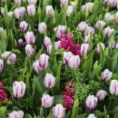 김기원 행정사 사무소 이미지