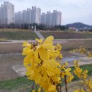 개별화물 이미지