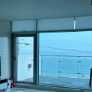 파니아토 이미지