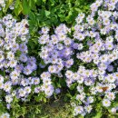 장항종로약국 이미지