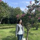 가을 레이어드 코디 추천! 오쿠카 (ohkukka) 울 가디건 &amp; 레이어드 탑 세트 후기