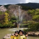 (주)비원비 Daum카페