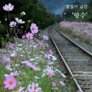 김희창 카카오 검색결과