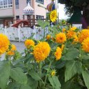 옥종초등학교 이미지