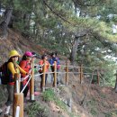 불루모아 이미지