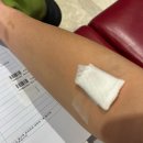 씨월 이미지