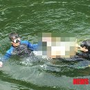 분지천 이미지