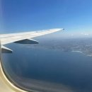 제주물항1950 | 제주도 공항 근처 맛집 추천 여행자 리뷰 좋은 곳 위주 확인하기