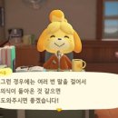 주식회사 해피홈