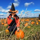 춘기농장 이미지