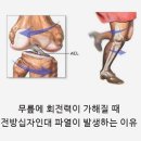 새부산스포츠 이미지