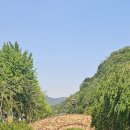 영산국밥