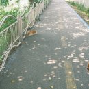 진건우회로63 이미지