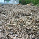 대두농장 이미지